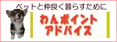 ワンポイントアドバイス