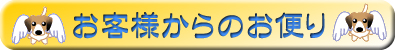 お客さまからのお便り