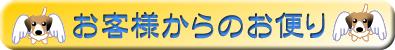 お客さまからのお便り