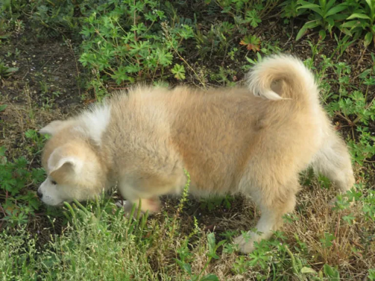 14
